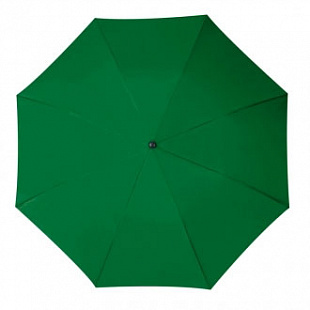 Зонт складной 4518899 Dark Green