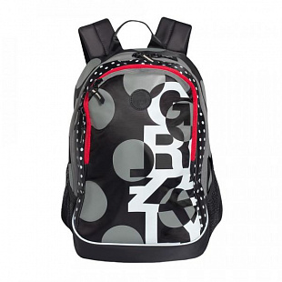 Рюкзак GRIZZLY RD-953-5 black
