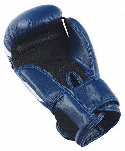 Перчатки боксерские Insane MARS IN22-BG100 8 oz	 blue