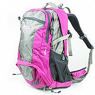 Рюкзак Polar П1556 Pink