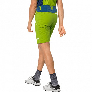 Брюки мужские Jack Wolfskin Overland Shorts M spring lime