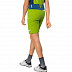 Брюки мужские Jack Wolfskin Overland Shorts M spring lime