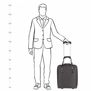 Дорожная сумка на колесах Polar П7090 brown