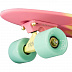 Penny board (пенни борд) Ridex Malibu 22'' Penny board (пенни борд) Ridex Malibu 22''