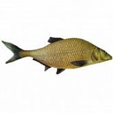 Мягкая игрушка Мнушки Лещ АБ000068