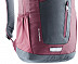 Рюкзак Deuter StepOut 12 3810215-4513 graphite/maron (2020)