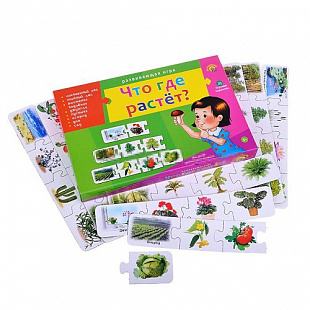 Ассоциации цепочкой Рыжий Кот Что где растет ИН-9926