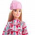 Кукла Barbie You Can Be Anything Сноубордистка (HCN30 HCN32)