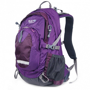 Городской рюкзак Polar П1596 purple