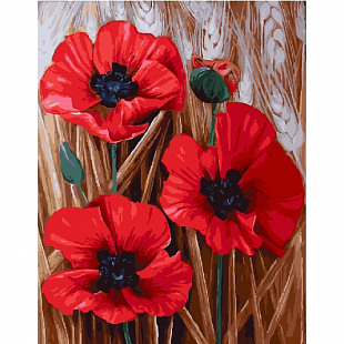 Набор картина по номерам Picasso Алые маки PC4050463