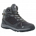Ботинки мужские Jack Wolfskin Activate Texapore MID M grey