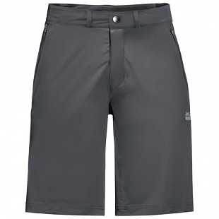 Шорты мужские Jack Wolfskin Delta Shorts M dark iron