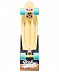 Penny board (пенни борд) Ridex Vanilla 22'' Penny board (пенни борд) Ridex Vanilla 22''