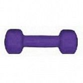 Гантель неопрен/винил 2 кг purple