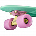 Penny board (пенни борд) Ridex Minty 22'' Penny board (пенни борд) Ridex Minty 22''