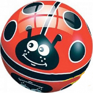 Мяч Dema-Stil "Божья коровка на поле" 23 см DS-PP 009