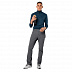 Брюки мужские Jack Wolfskin Delta Pants M dark iron