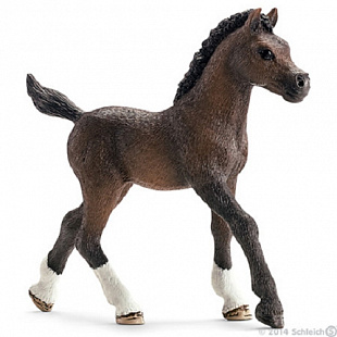 Фигурка животного Schleich Арабский жеребенок 13762