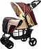 Коляска BabyHit Adventure Brown Коляска BabyHit Adventure Brown