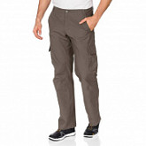 Брюки Jack Wolfskin Northpants evo men Brown