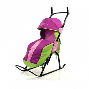 Санки-коляска RT Кенгуру-1 purple/green