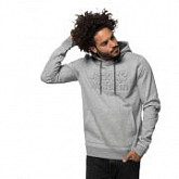 Толстовка с капюшоном мужская Jack Wolfskin Logo Hoody M light grey