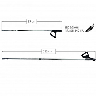 Палки для скандинавской ходьбы RGX NWS-101 silver