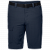 Шорты мужские Jack Wolfskin Hoggar Shorts night blue