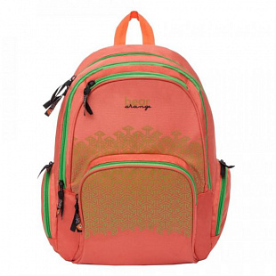 Рюкзак школьный Orange Bear VI-65 /2 orange