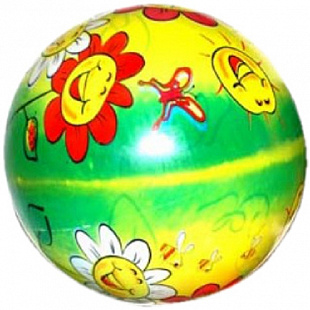 Мяч гимнастический Zez Sport Sunny Flowers D9-QY