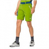 Брюки мужские Jack Wolfskin Overland Shorts M spring lime