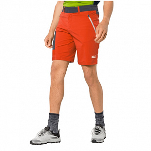 Брюки мужские Jack Wolfskin Overland Shorts M wild brier