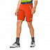 Брюки мужские Jack Wolfskin Overland Shorts M wild brier