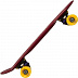 Penny board (пенни борд) Ridex Marsala 22'' Penny board (пенни борд) Ridex Marsala 22''