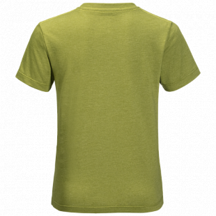 Футболка детская Jack Wolfskin Brand T Boys green tea