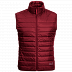 Жилет мужский Jack Wolfskin Jwp Vest M dark lacquer red