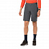 Шорты мужские Jack Wolfskin Delta Shorts M dark iron