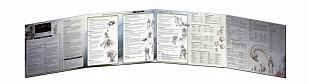 Настольная игра Hobby World Dungeons & Dragons. Ширма мастера подземелий. Реинкарнация 73709-R