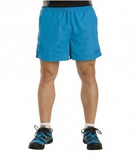 Шорты мужские Alpine Pro MSSC003652 blue