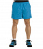 Шорты мужские Alpine Pro MSSC003652 blue
