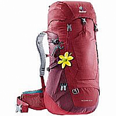 Рюкзак Deuter Futura 28 SL 3400618-5528 cranberry-maron (2019-20)