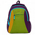 Рюкзак GRIZZLY RD-833-2 purple