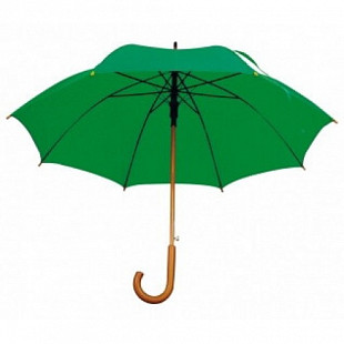 Зонт 4513109 Green