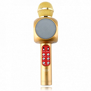 Колонка с функцией Караоке Микрофона Wster WS-1816 gold