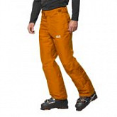 Брюки мужские Jack Wolfskin Powder Mountain Pants M rusty orange