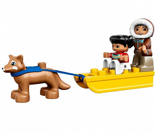 Конструктор LEGO Вокруг света: Арктика 10803
