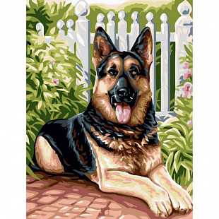 Набор картина по номерам Picasso Немецкая овчарка PC3040037