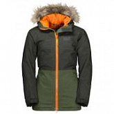 Куртка детская Jack Wolfskin Bandai Jacket Kids antique green