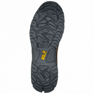 Ботинки мужские Jack Wolfskin Thunder Bay Texapore High M dark wood