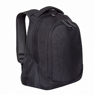 Рюкзак школьный GRIZZLY RU-928-2 /3 black